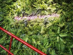 -腾爱熊猫咖啡生活馆(老东门店)