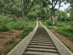 -青龙山国家森林公园
