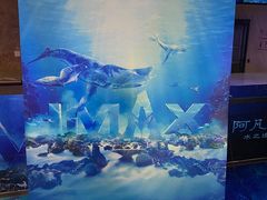 -英皇电影城(英皇集团中心IMAX店)