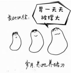 -香薇妮丝·定制减肥·身材管理
