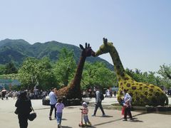 -西安秦岭野生动物园