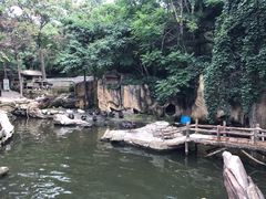 -燕塞湖鸟语林景区