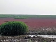 -红海滩国家风景廊道