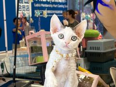 -金茂览秀城