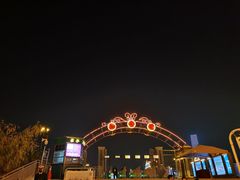 -武汉知音号