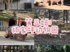 -大虎老火锅(直港大道店)
