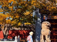-护国法轮寺