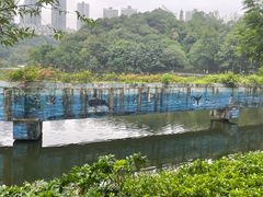 -重庆彩云湖湿地公园