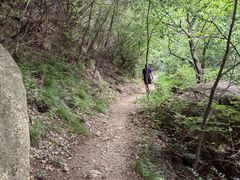 -云岫谷游猎自然风景区