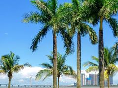 -星巴克(珠海仁恒滨海中心店)