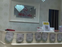 -银座Calla日式美容沙龙