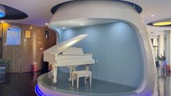 -比华利美容医院