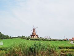 -大塘金香草谷