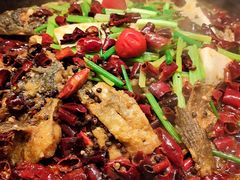 -老板恋上鱼(荣盛广场店)