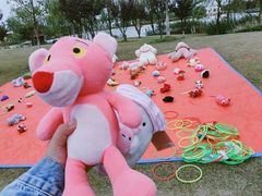 -上海长兴岛郊野公园