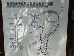 -铁山坪森林公园