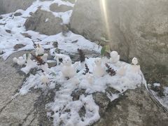 -秦岭终南山世界地质公园翠华山景区