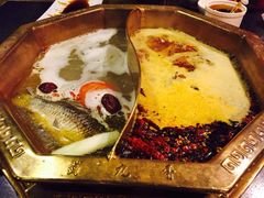 -蜀九香火锅(彩虹店)