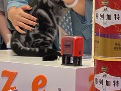 -凯德广场(西城店)