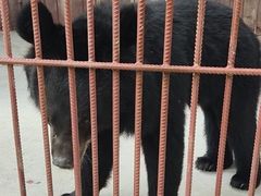 -田园寨农园观光园