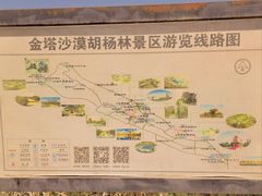 -金塔沙漠胡杨林景区