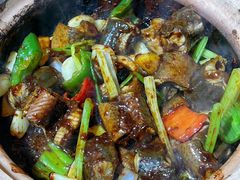 -天宝食坊·啫啫煲大排档(西华路店)