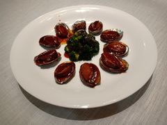 -成都老店