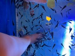 -汤连得温泉馆(宝山店)