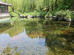 -济南大明湖景区