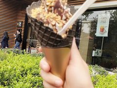 -麦当劳(曲阳店)