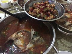 -风鑫铃罗非鱼(道沟店)
