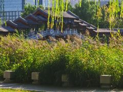 -西海子公园