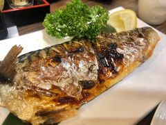 烤青花鱼-东京屋(武定路店)