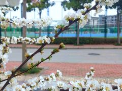 -河南财经政法大学(郑东校区)