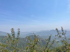 -大岭沟猕猴桃谷风景区