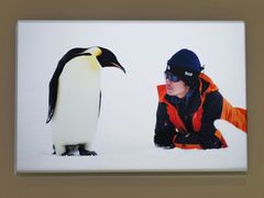 -罗红摄影艺术馆