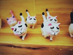 -猫咪博物馆(顶澳仔猫街店)