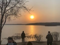 -丁香湖公园