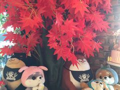 -柴犬高等学院·狗咖·柴犬售卖·宠物训练