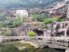 -蛇蟠岛