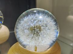 -天空音乐盒(五道营胡同店)