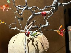 -阿露佳·舌尖上的安吉菜