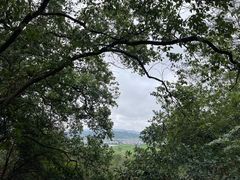 -冠豸山景区