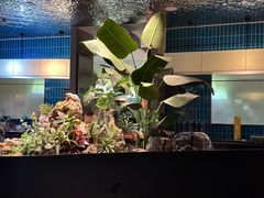 -映像威海·威海宴(威高广场店)