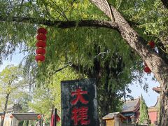 -大槐树寻根祭祖园