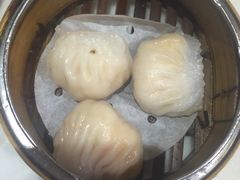 -糖朝(尖沙咀店)