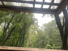 -帽儿山风景区