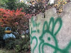 -勇士之星真人CS·团建·拓展(清水河公园店)