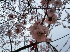 -City1+1城市比萨·意面(桂林路店)