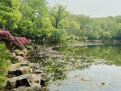 -灵谷景区